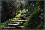 Viele Treppenstufen sind es von Manarola hinauf zum Dorf Volastra.