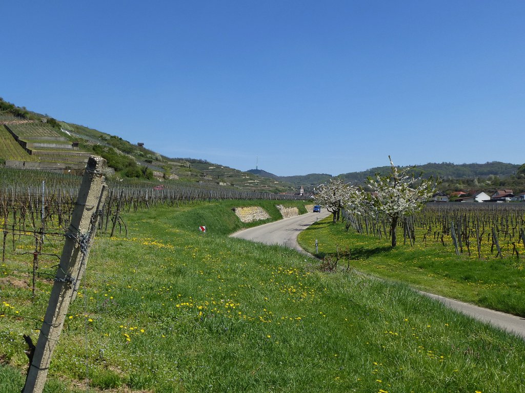 Achkarren, der Ort liegt eingebettet in die Weinberge des westlichen Kaiserstuhls, April 2013