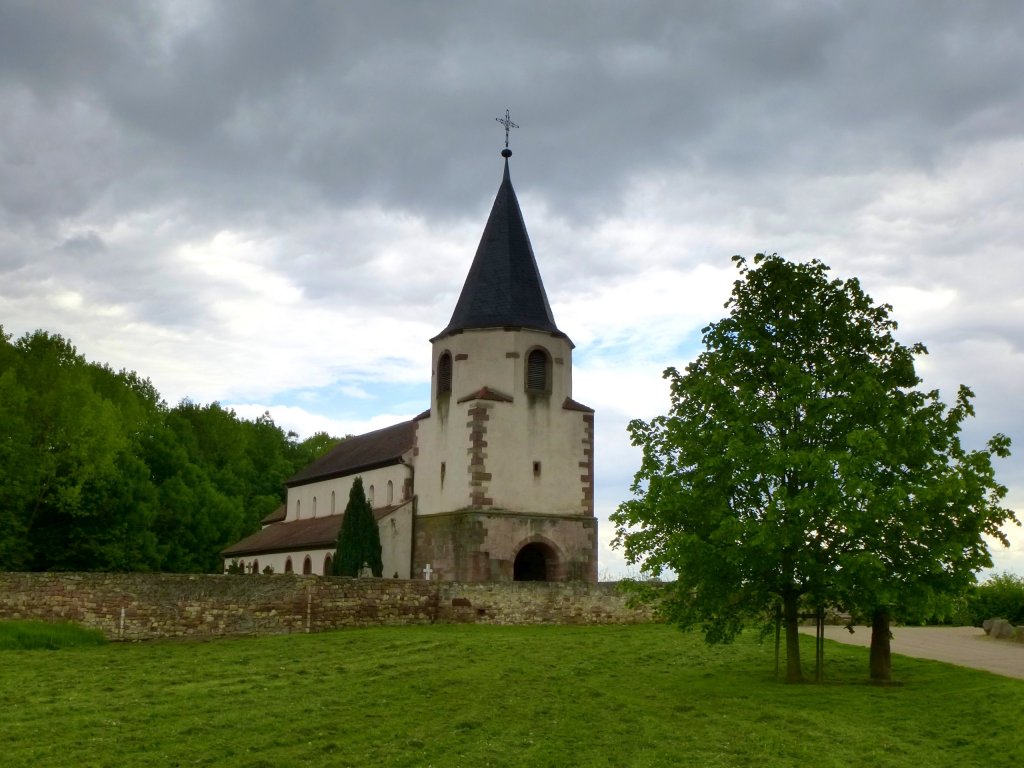 Avolsheim, Blick zum Dompeter, einer uralten romanischen Kirche im Elsa, Mai 2013