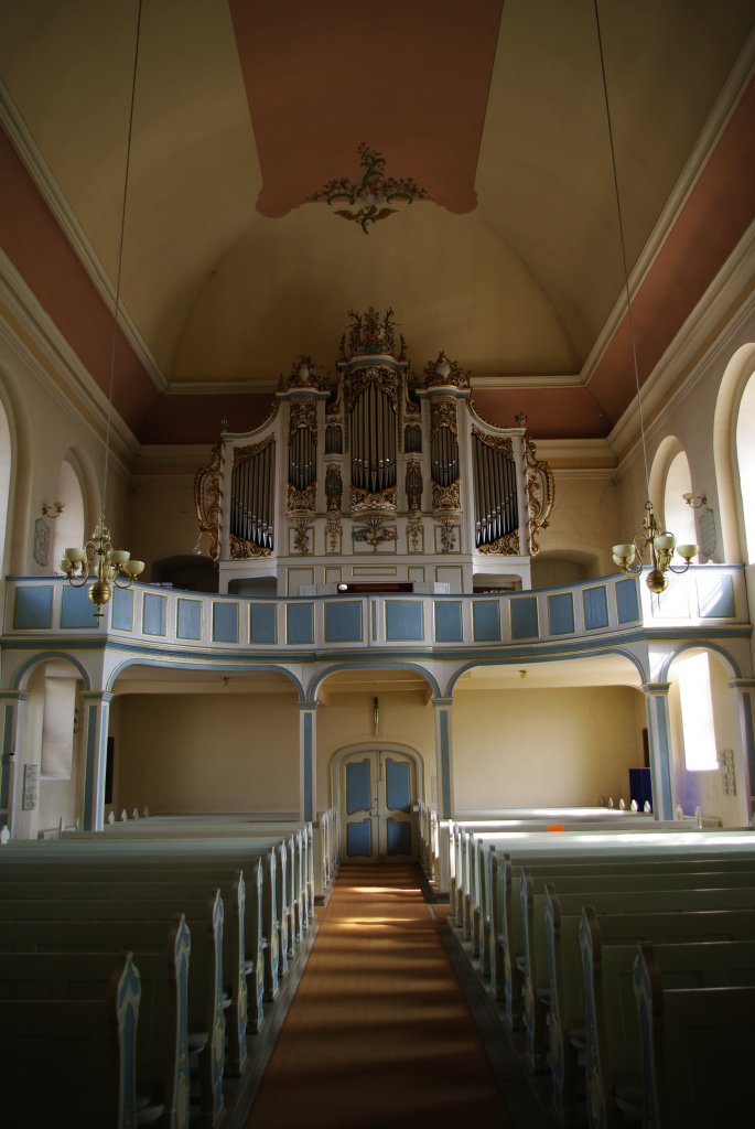 Bad Arolsen, Orgel der ev. Stadtkirche, Rokoko Stuck von Johann Michael Brhl von 1776 (12.04.2009)