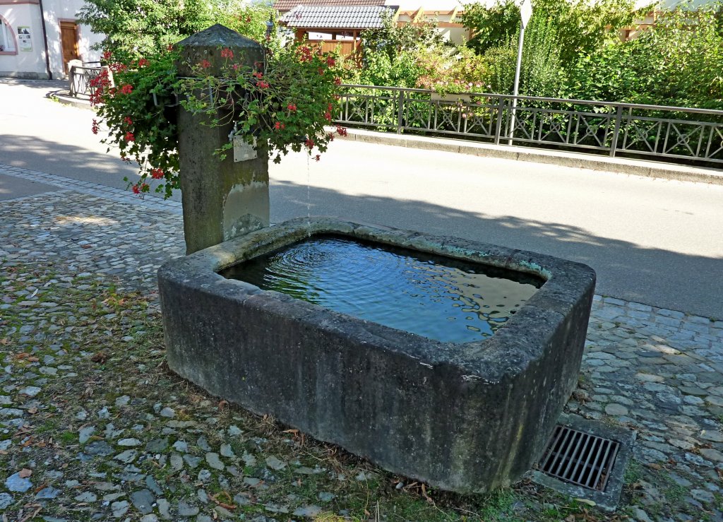 Bad Riedlingen, der Dorfbrunnen, Sept.2012