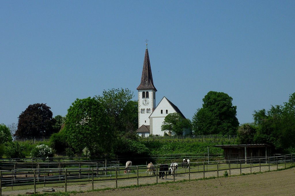 Biengen im Breisgau, die weithin sichtbare auf einem Hgel stehende St.Leodegar-Kirche, 1730 erbaut, April 2011 