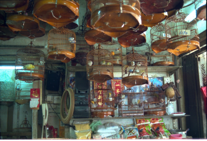 Blick in ein Geschft, in dem Vogelkfige verkauft werden. Gesehen in Hongkong im Sommer 2002