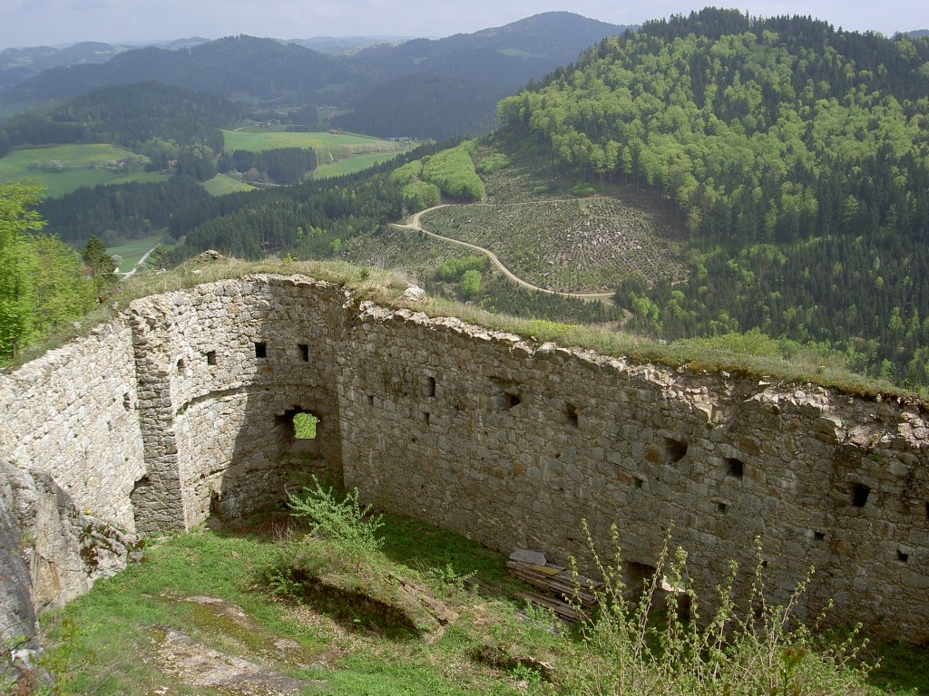 Burgruine Ruttenstein, ehemalige Hhenburg auf 758 M. Hhe ber dem Tal der groen Naarn, erbaut ab 1160, seit 1823 im Besitz der Herzge von Sachsen-Coburg (04.05.2013)