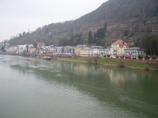 Das Neckarufer in Heidelberg am 24.02.11
