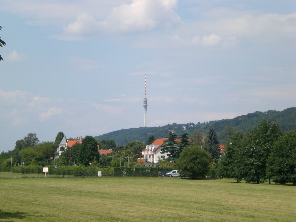 Der Blick auf den Dresdner Fernsehturm vom Schlossparkgelnde in Pillnitz.(27.7.2011)