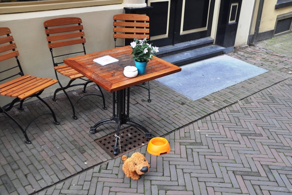 DEVENTER, 19.08.2011, Kleine Overstraat - hier gibt's auch Wasser fr falsche Hunde