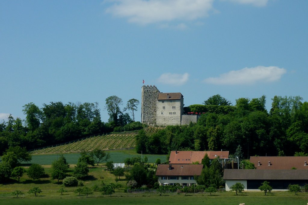 die Habsburg im Schweizer Kanton Aargau, Stammburg der Habsburger, die zu einer europischen Dynastie aufstiegen, etwa 1020 bis 1300 entstanden, erhalten ist nur der Westteil der Anlage, heute Museum und Restaurant, Mai 2011