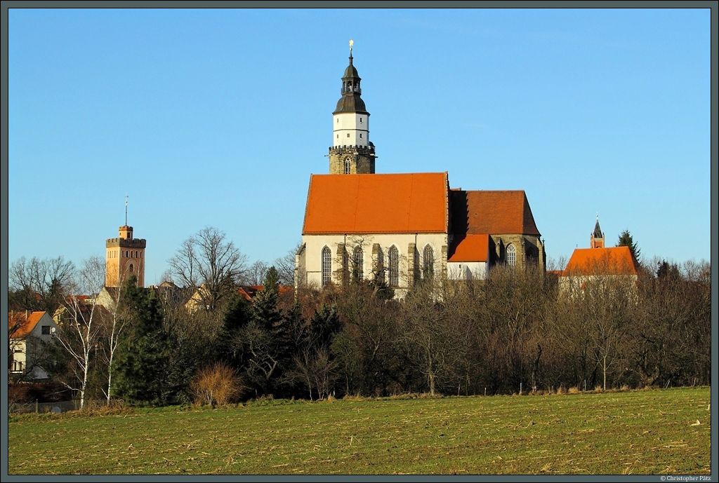 Die Hauptkirche St. Marien berragt auf einem Hgel die Stadt Kamenz. Links davon der Rote Turm, rechts hinter den Bumen die Katechismuskirche. (28.12.2012)