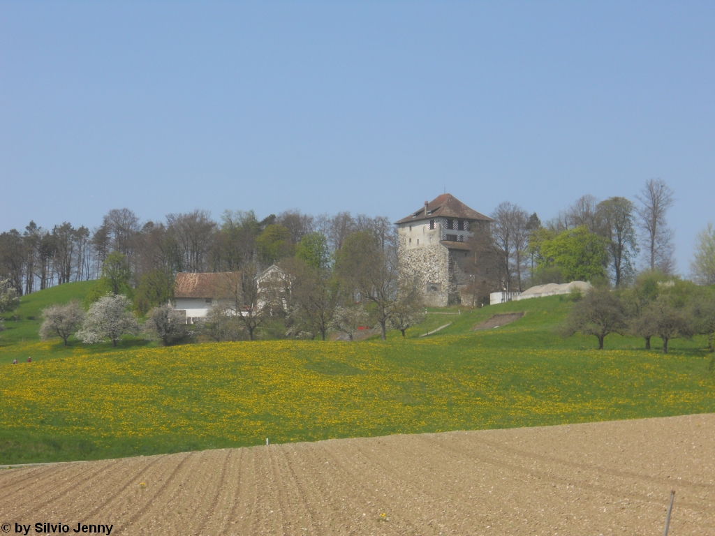 Die Mrsburg oberhalb Stadel bei Winterthur. 1241 wurde die Mrsburg vom Grafen von Kyburg erbaut. 1273 ging die Mrsburg samt der Kyburg an die Habsburger. 1598 ging die Mrsburg an die Stadt Winterthur, wo sie seit 1901 von einem privaten Verein betreut wird.