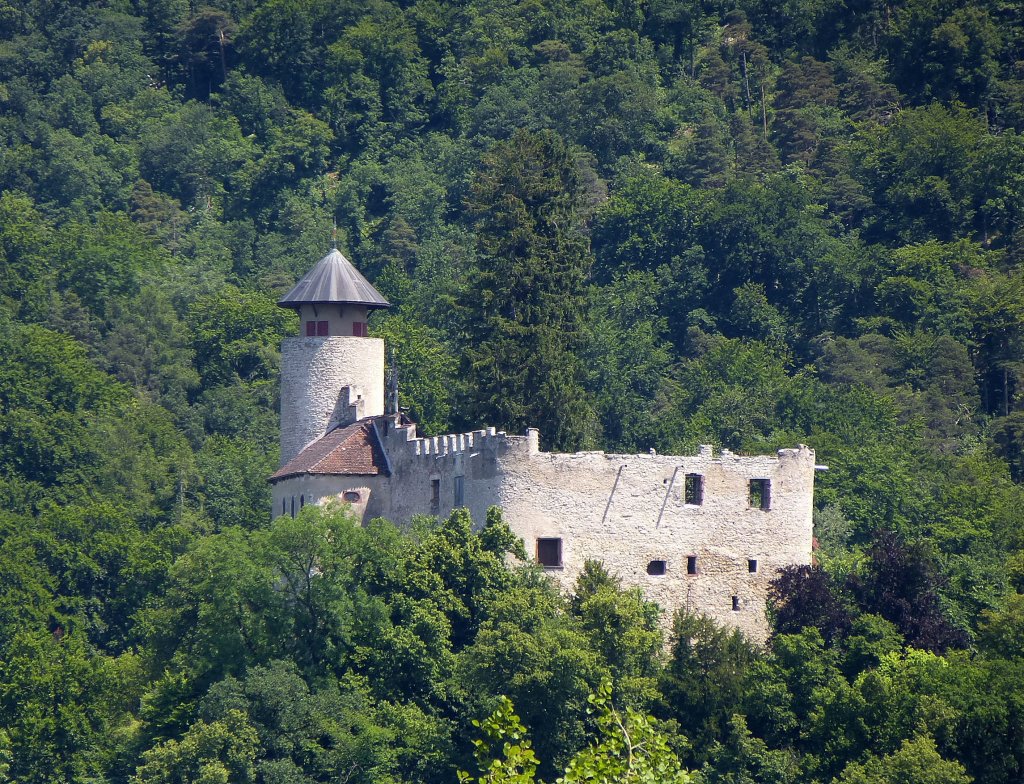 Dornach, die Burg Birseck, erbaut 1243-44, Juli 2013