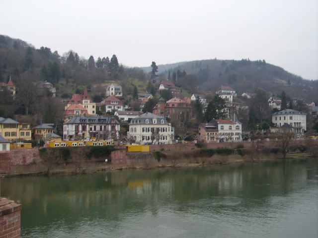Ein paar Villen an Neckarufer in Heidelberg am 24.02.11
