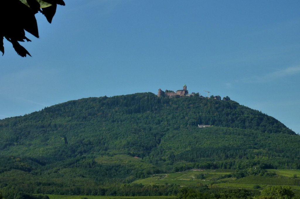 Hohknigsburg im Elsa, liegt auf einem 757m hohen Berg der Vogesen in der Nhe von Schlettstadt(Selestat), Sept.2011