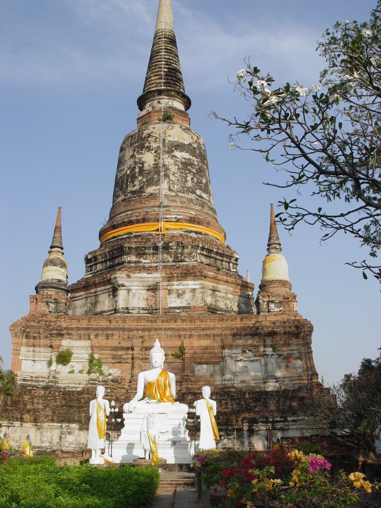 In Ayutthaya, der ehemaligen Knigsstadt des siamesischen Reiches, befinden sich etliche antike Tempelanlagen, eine davon ist der Tempel Yai Chai Mongkul aus dem 14. Jahrhundert. Der Chedi des Tempels hat eine Hhe von 80 m