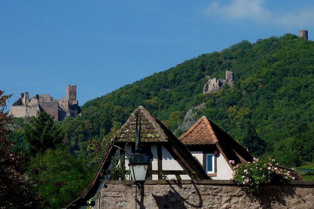 Rappoltsweiler, Blick ber die Stadt zu den drei Burgen, links die Ulrichsburg, mitte die Girsburg und rechts der Hohrappoltstein, Sept.2011 