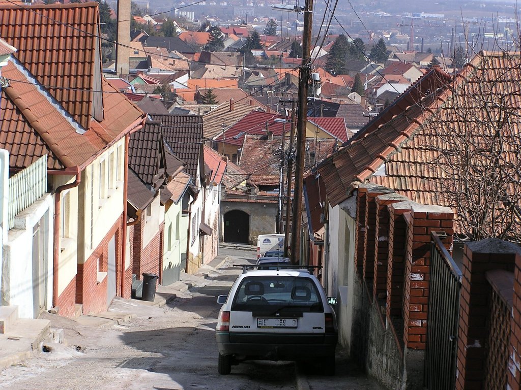 Teil eines altes Wohngebiets (in der nhe der Innenstadt) (April 2010)