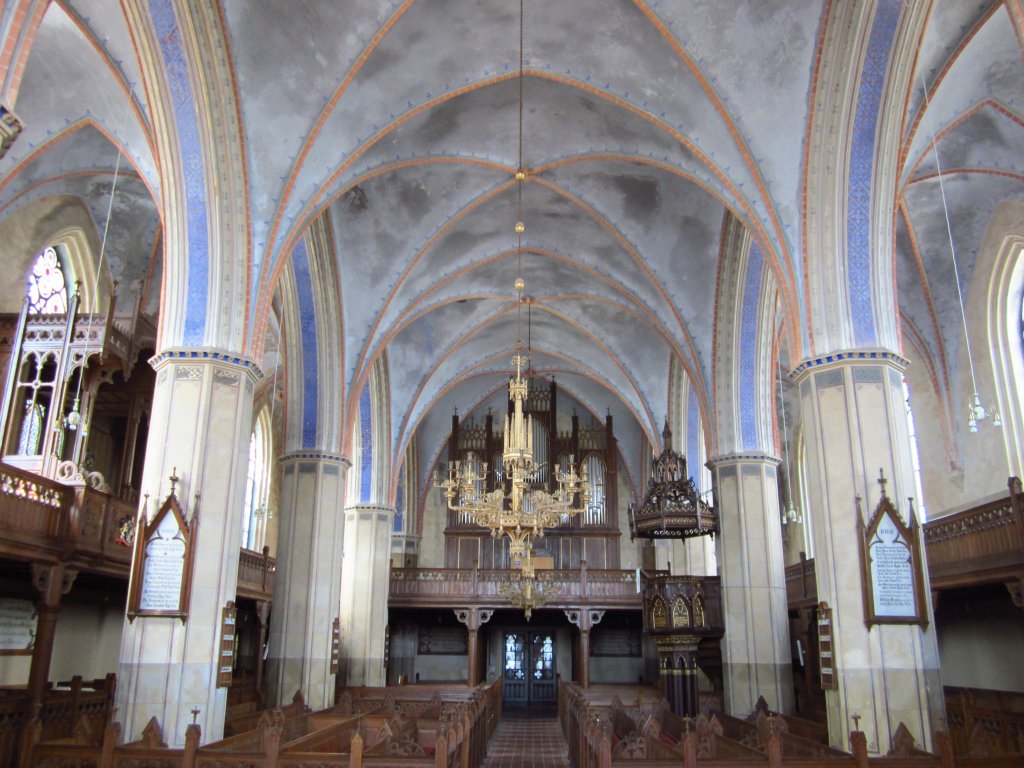 Tribsees, Langhaus und Orgelempore der St. Thomas Kirche (22.05.2012)
