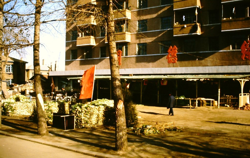 Werkwohnungen in Datong mit eingelagerten Wintervorrten vor dem Haus, aufgenommen am 3. November 1984.