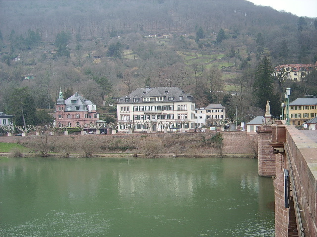 Zwei Villen in Heidelberg am Neckar am 24.02.11