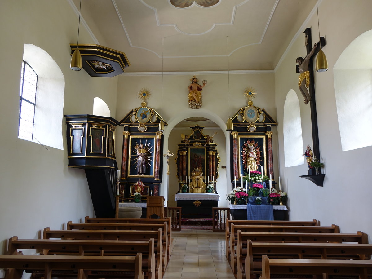 Aberzhausen, barocker Innenraum der St. Martin Kirche (26.05.2016)