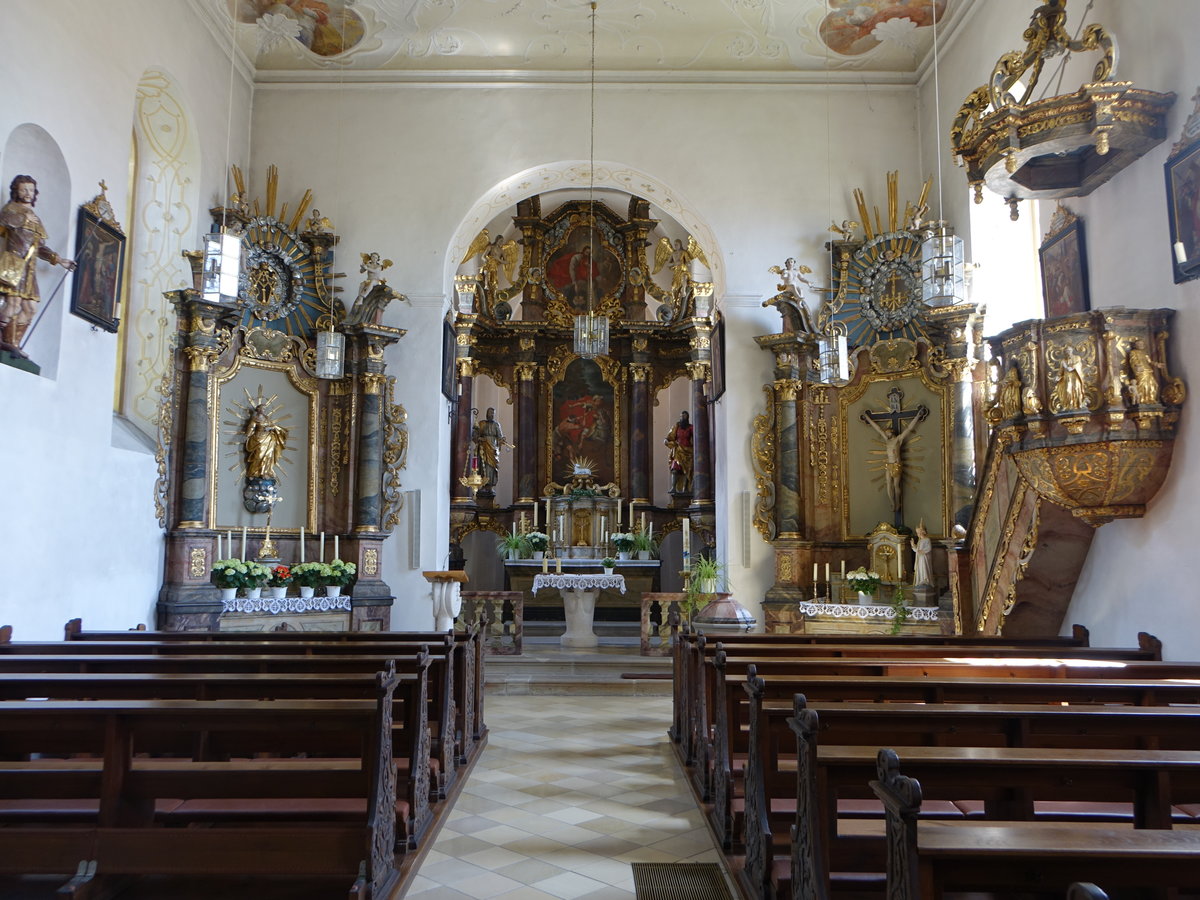 Alitzheim, barocker Innenraum der Pfarrkirche St. Martin (28.05.2017)