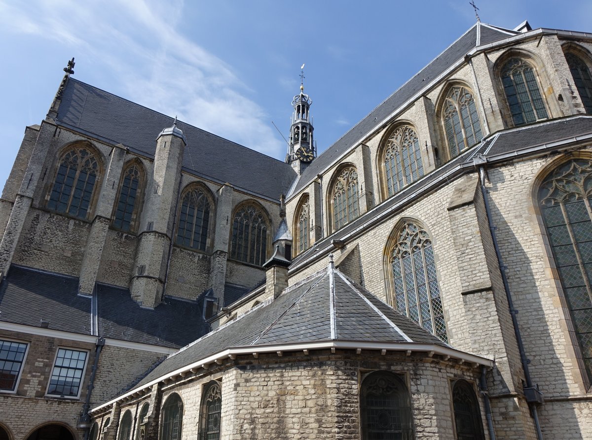 Alkmaar, Grote Kerk oder St. Laurenskerk, sptgotische kreuzfrmige Basilika, erbaut von 1470 bis 1512, Chorgewlbe von 1519 (26.08.2016)