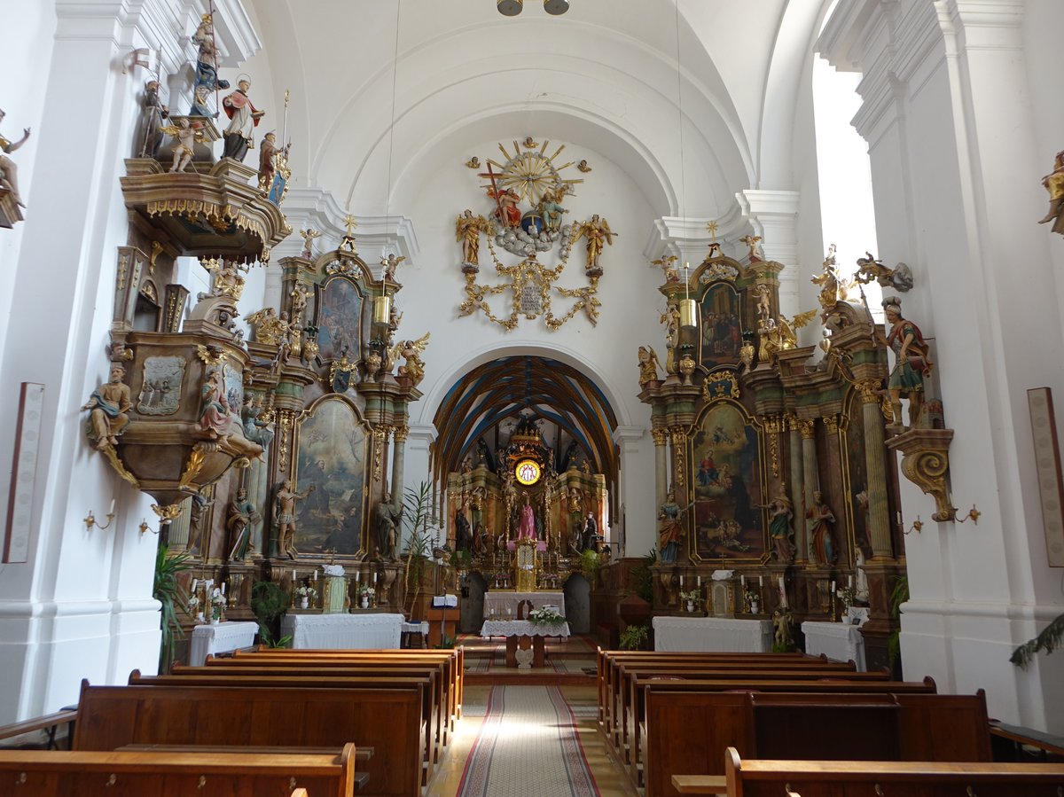 Andocs, barocke Altre in der Wallf. Kirche Maria Himmelfahrt (30.08.2018)