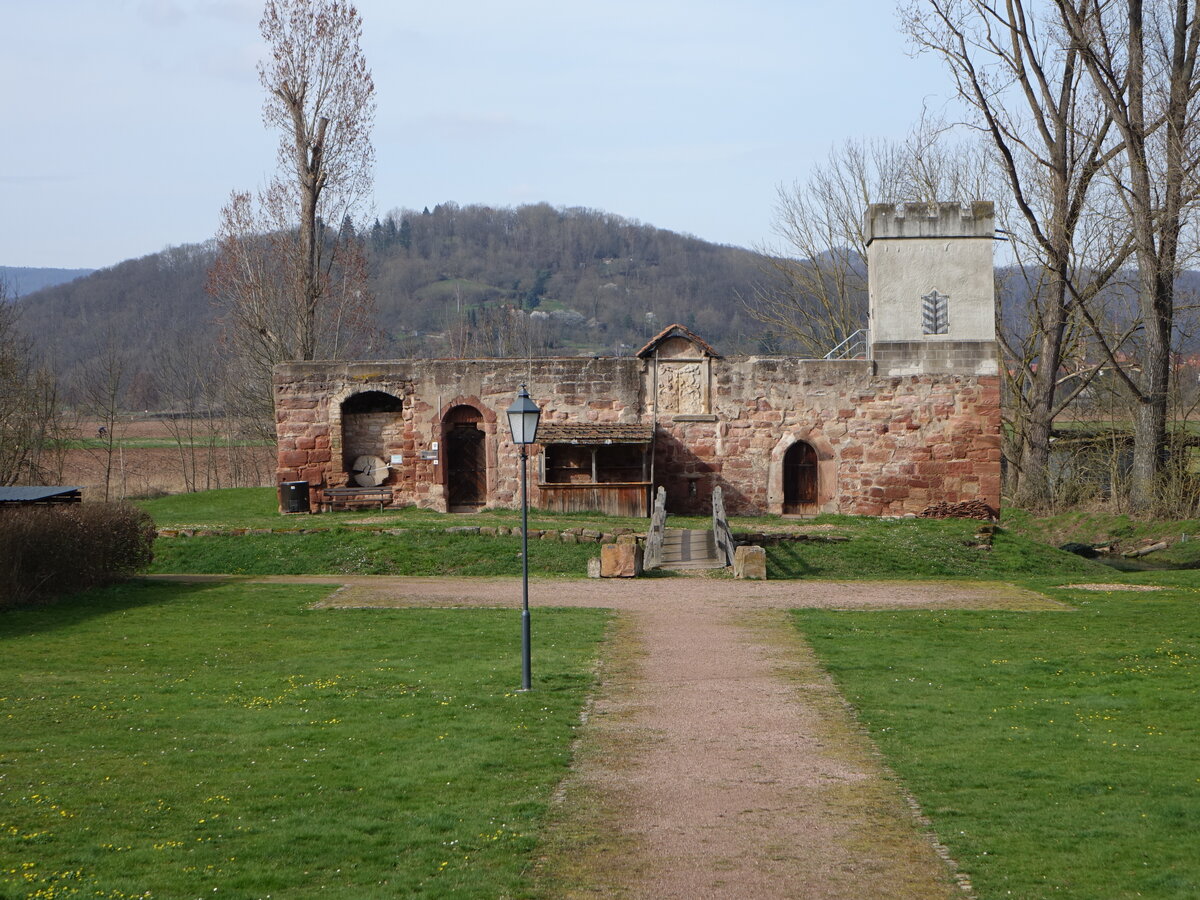 Aue, Ruine der Wasserburg aus dem 12. Jahrhundert (17.03.2024)