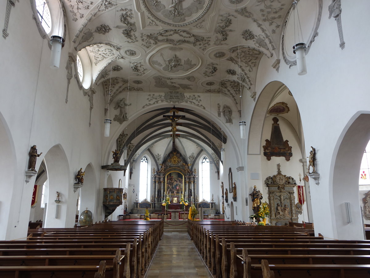 Aulendorf, barocker Innenraum der Pfarrkirche St. Martin, Hochaltargemlde von Carl van Zoon, Kanzel von Franz Schneider (05.04.2021)