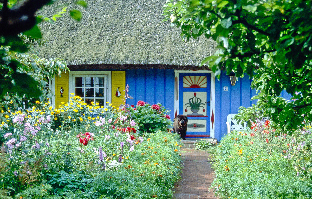 Ausschnitt eines Reetdachhauses mit Garten im Ostseebad Prerow auf der Halbinsel Fischland-Dar-Zingst. Bild vom Dia. Aufnahme: August 2001.
