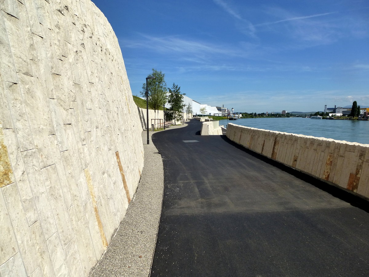 Basel, der am linken Rheinufer neu errichtete Rad-und Fuweg, auch Elserrheinweg genannt, Juli 2016