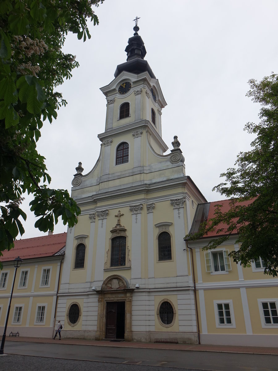 Bjelovar, Kathedrale St. Theresia,  Barockkirche am Eugen-Kvaternik-Platz, erbaut von 1765 bis 1772 (03.05.2017)