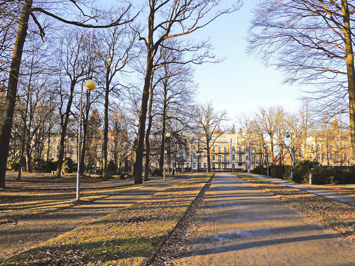 Blick am 16. Februar 2019 durch  den Městsk sady (Stadtpark) von Franzensbad