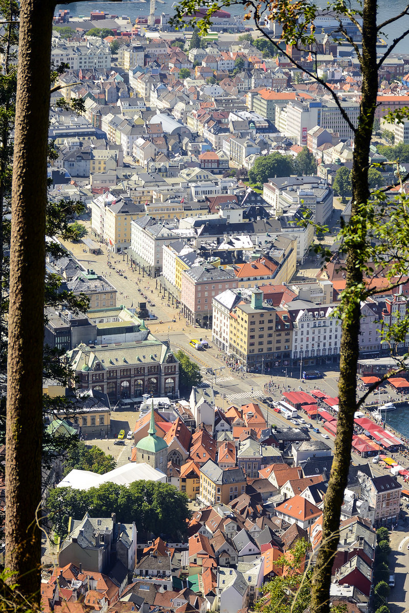 Blick auf Bergen (Norwegen) vom Wald am Flyen. Aufnahme: 11. Juli 2018.