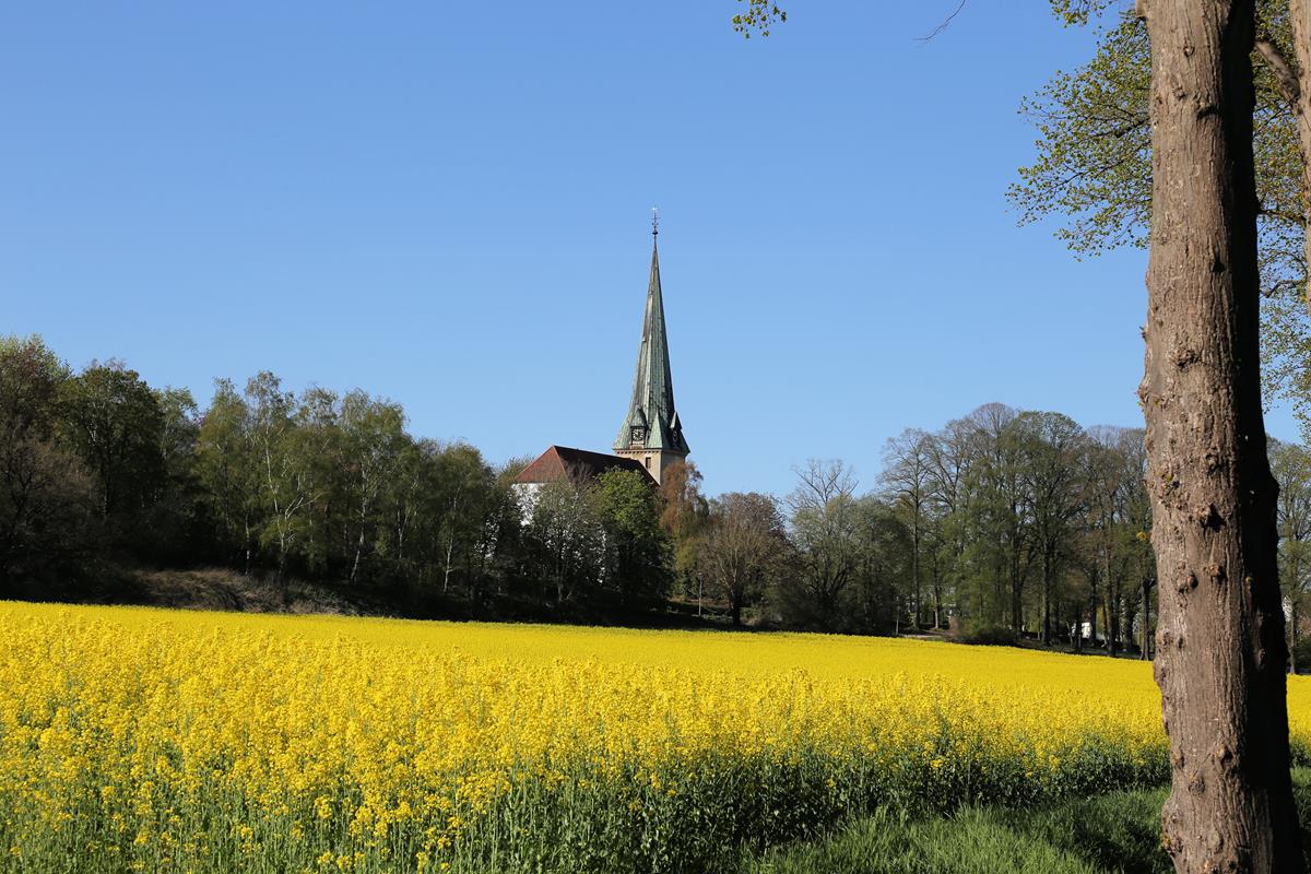 Blick aus Richtung Stockum bzw. Wissingen auf die ev. luth. Kirche am nordstlichen Ortsrand von Bissendorf am 20.04.2020.