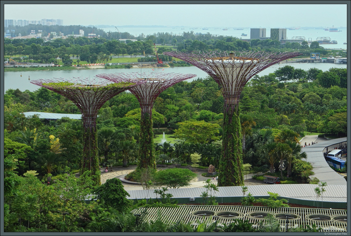 Blick von einem der  Super Trees  auf den Silver Garden der Gardens of the Bay und die knstlich aufgeschttete Halbinsel Marina East in Singapur. (11.01.2020)