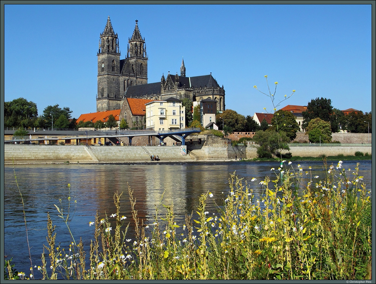 Blick von den Elbwiesen auf den 1363 geweihten Magdeburger Dom. Nach mehrjhriger Sanierung prsentiert sich dieser nun wieder vollstndig ohne Gerste. (03.10.2013)