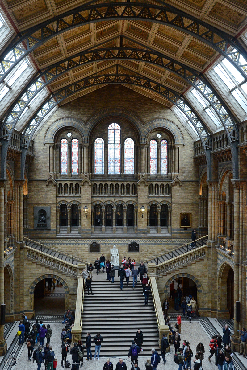 Blick in die Haupthalle des Naturhistorischen Museums im Londoner Stadteil Kensington. (Mrz 2013)