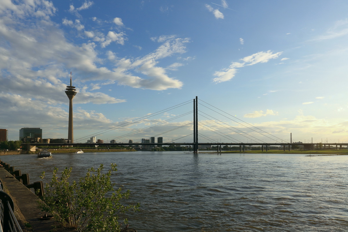 Blick zur Rheinkniebrcke und Fernsehturm vom Rheinufer am 29. Juli 2017.