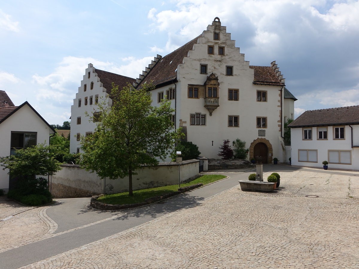 Blumenfeld, Schloss, erbaut im 14. Jahrhundert durch die Herren von Klingenberg (25.05.2017)