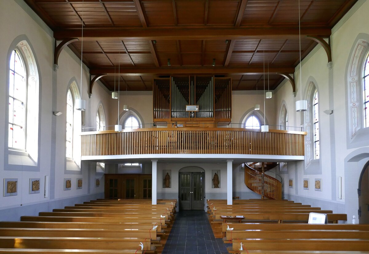 Bhl, Blick zur Orgelempore in der Kirche St.Peter und Paul, Sept.2021