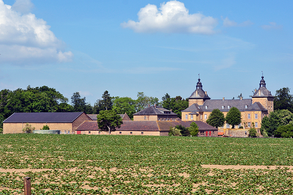 Burg Ringsheim, 1249 erstmals erwhnt, bei Eu-Flamesheim - 18.05.2014