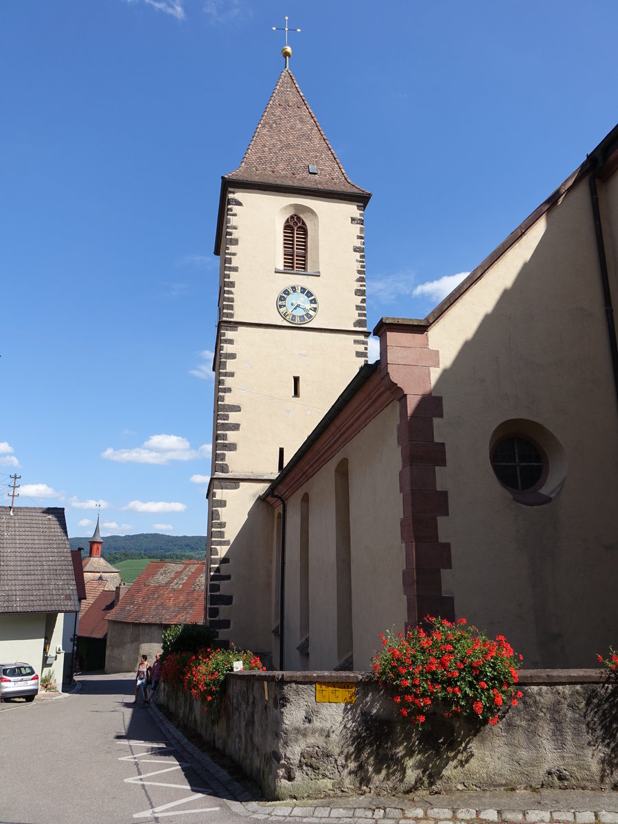 Burkheim, St. Pankratius Kirche, erbaut im 11. Jahrhundert (14.08.2016)