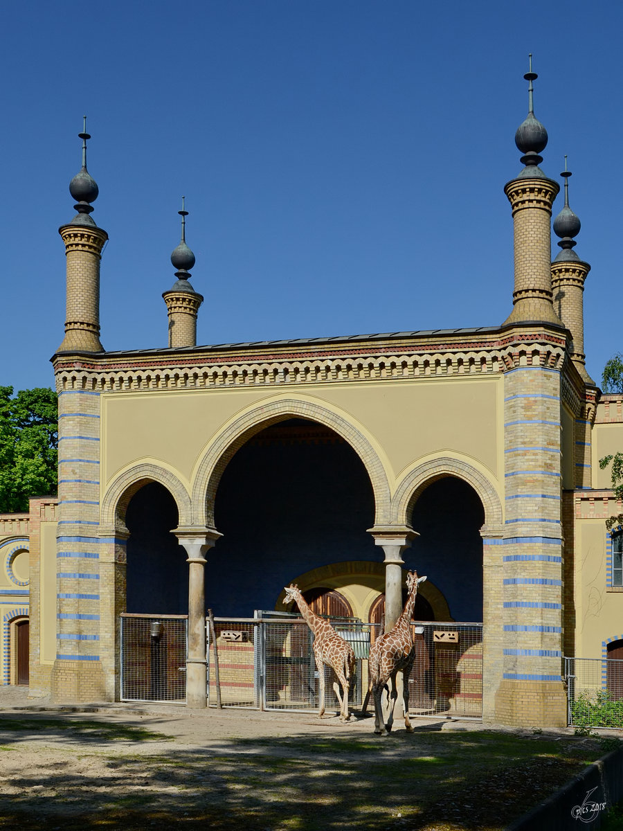Das historische Antilopenhaus, erbaut 1869-1875 im Zoologischen Garten in Berlin-Mitte. (April 2018)