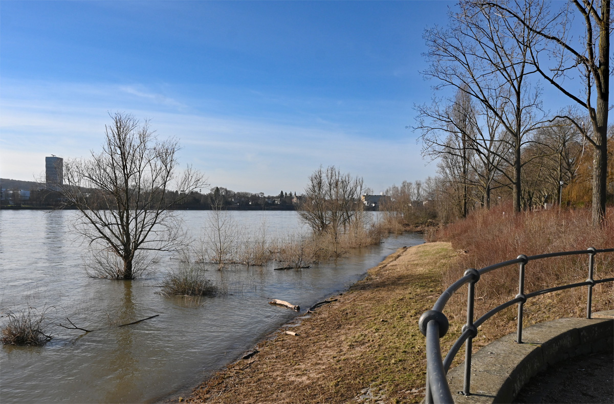 Das Rheinufer in Bonn-Limperich bei Hochwasser - 27.01.2024