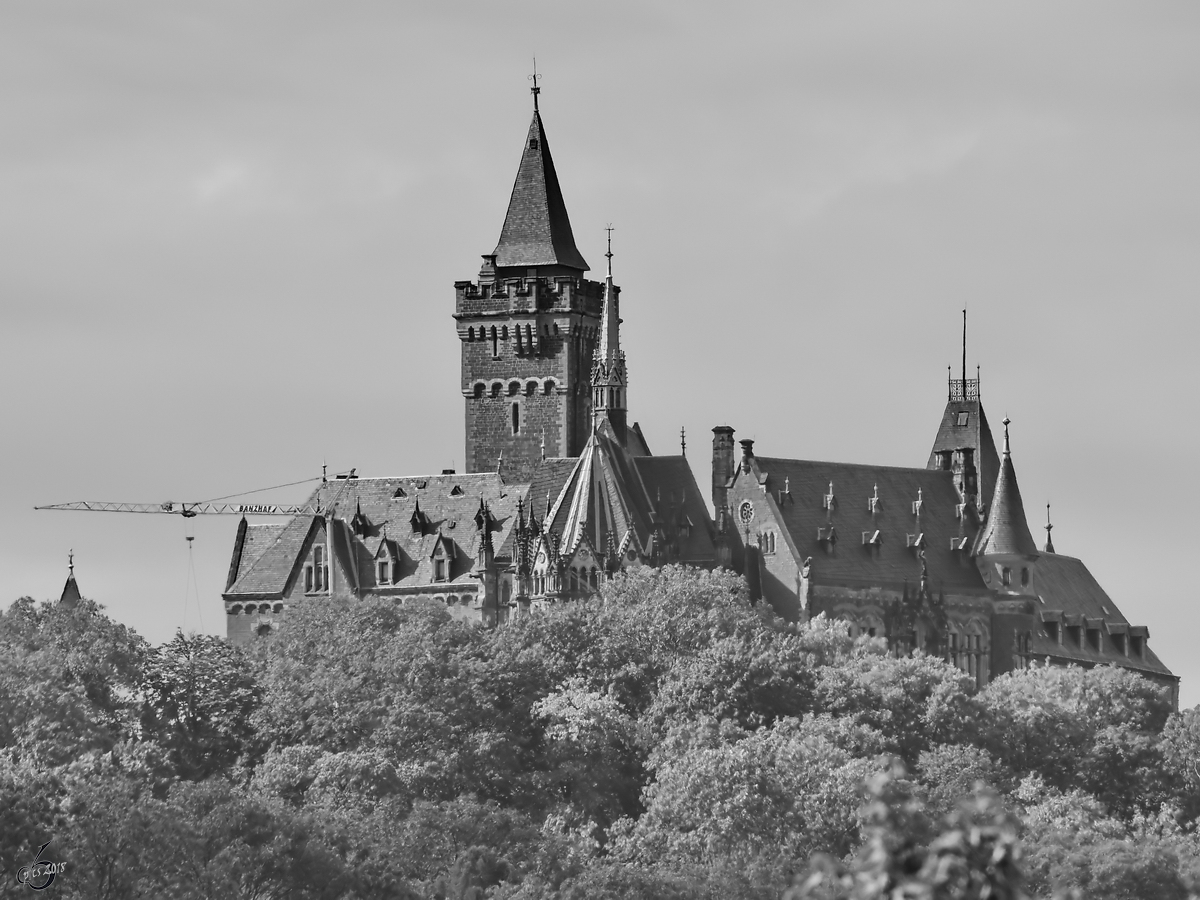 Das Schloss Wernigerode Anfang August 2018.