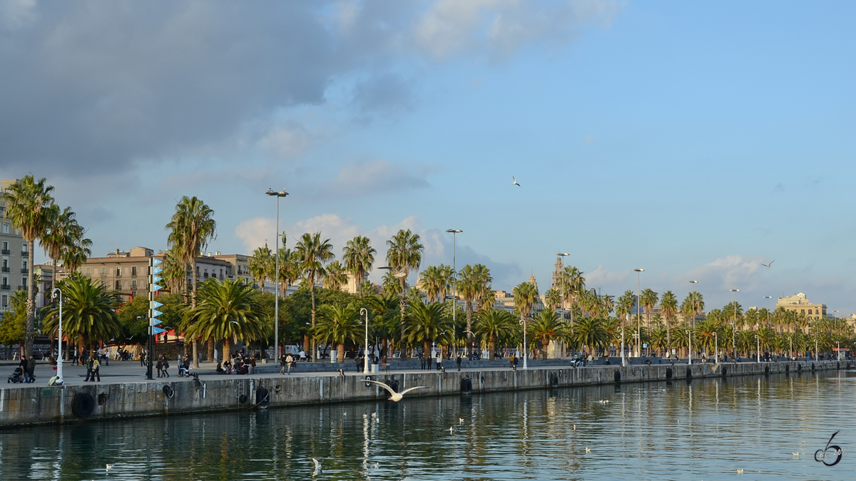 Der alte Hafen mit seiner Promenade in Barcelona. (Dezember 2011)
