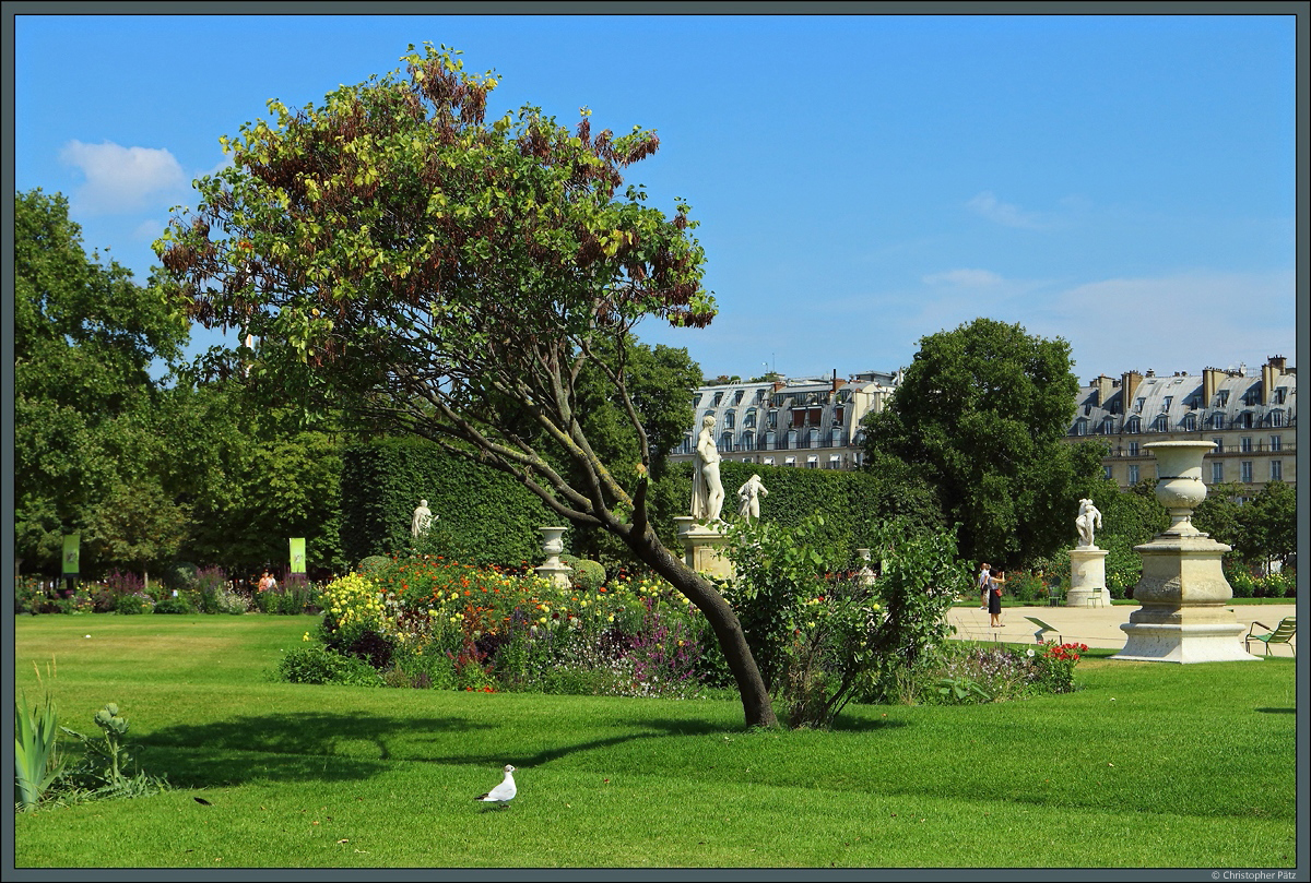 Der barocke Park Jardin des Tuileries erstreckt sich vom Louvre bis zum Place de la Concorde und ist seit dem 17. Jahrhundert ein beliebter Aufenthaltsort der Pariser Bevlkerung. (19.07.2018)