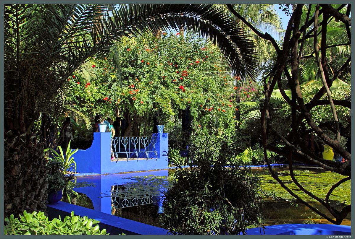 Der Botanische Garten Jardin Majorelle ist der bekannteste Garten Marrakeschs. Er wurde vom Knster Jacques Majorelle ab den 1920er Jahren angelegt. Die Wasserbassins und Gebude sind in einem speziellen Blau gestrichen, das nach dem Knstler benannt ist. (Marrakesch, 18.11.2015)