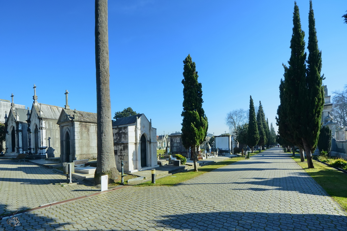 Der Friedhof von Lapa (Cemitrio da Lapa) ist der lteste romantische Friedhof in Portugal. (Porto, Januar 2017)